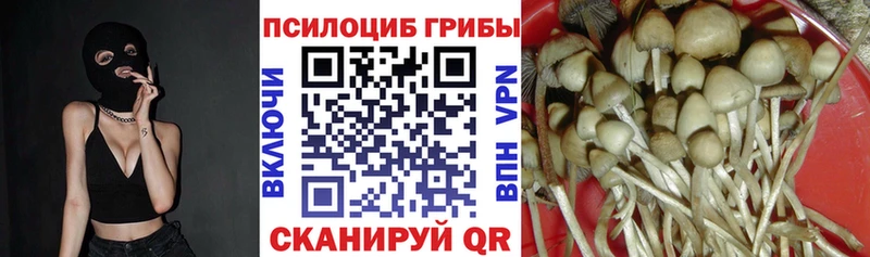Галлюциногенные грибы Cubensis  Мурино 